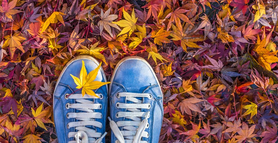 Ahornblätter viele Farben Schuh Indian Summer Farben Indian Summer Blätter Ahorn