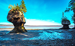 Fundy National Park Kanada