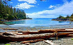 Pacific Rim National Park Kanada