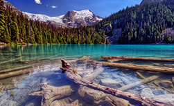 Kanada Urlaub Nationalpark See, Holz, Bäume