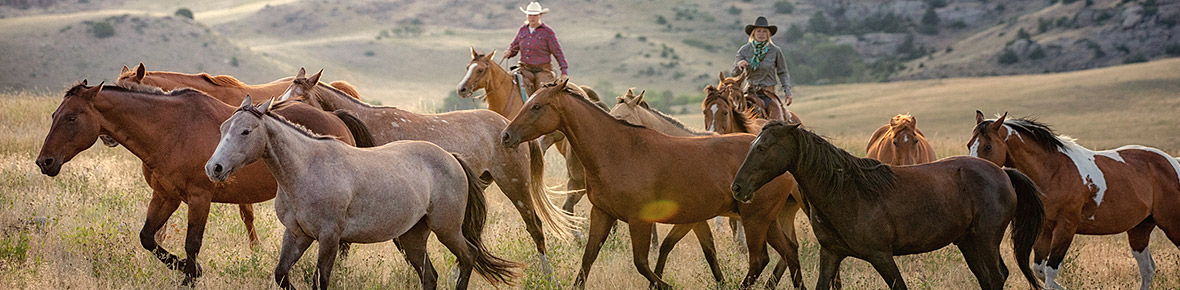 Kanada Ranches